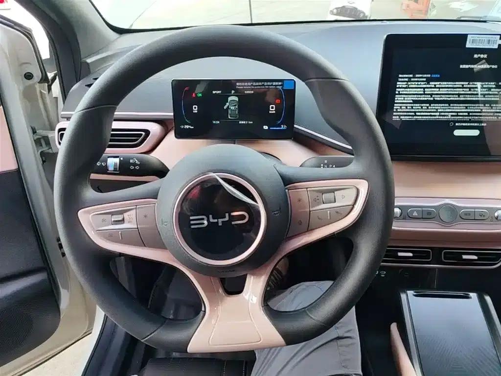Seagull 2025 Smart Driving Edition 305km Vitality Edition — миниатюра 11