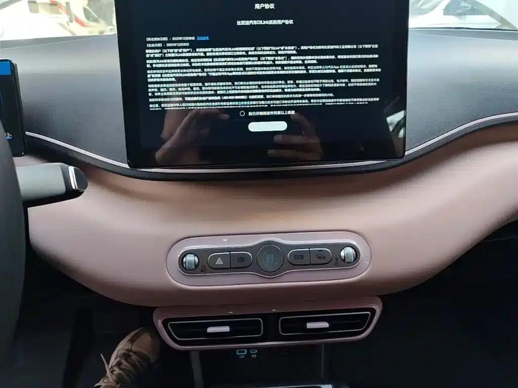 Seagull 2025 Smart Driving Edition 305km Vitality Edition — миниатюра 13