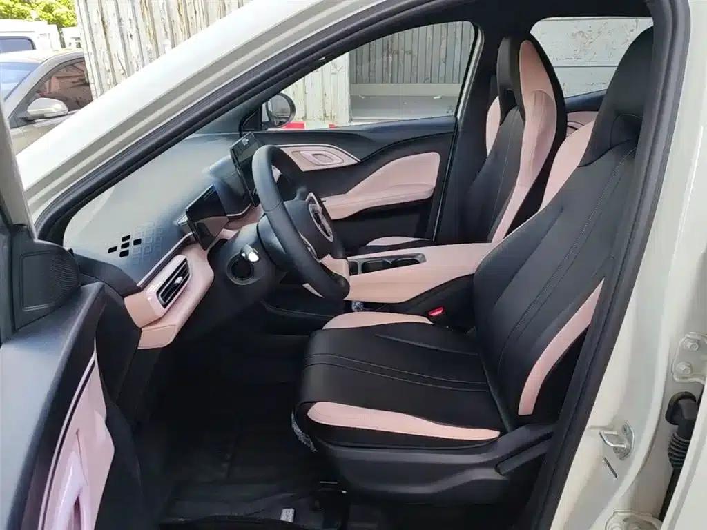 Seagull 2025 Smart Driving Edition 305km Vitality Edition — миниатюра 15