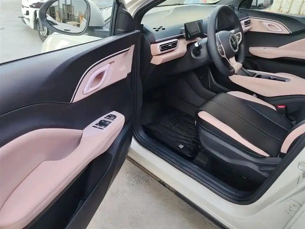 Seagull 2025 Smart Driving Edition 305km Vitality Edition — миниатюра 16