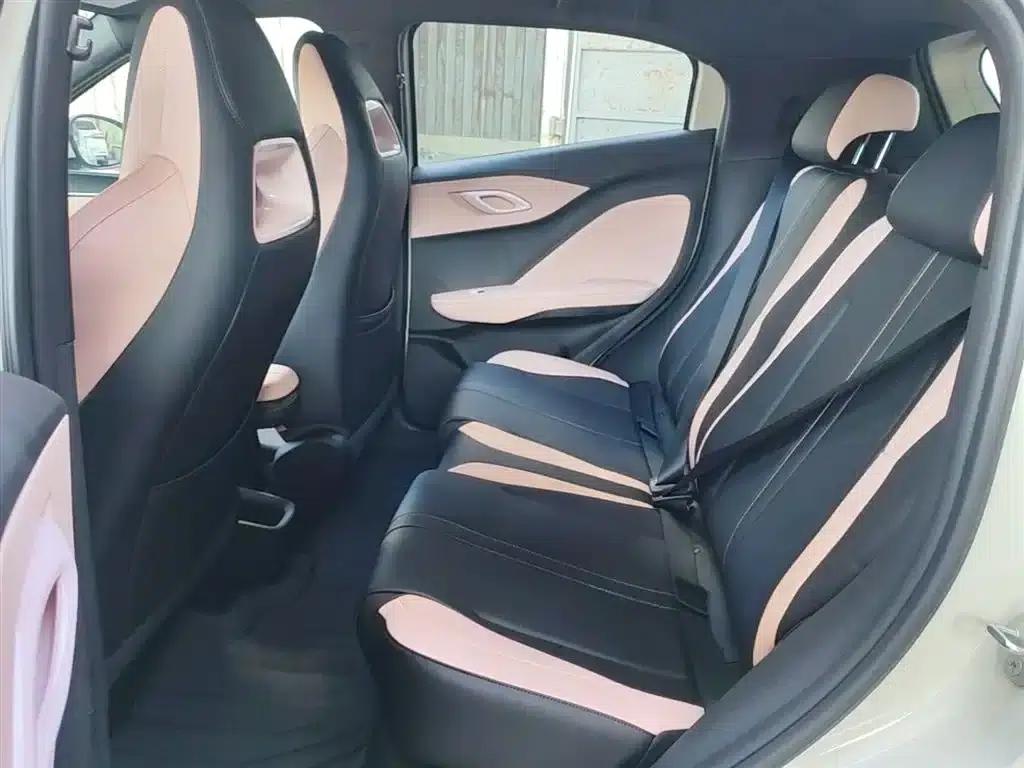 Seagull 2025 Smart Driving Edition 305km Vitality Edition — миниатюра 17
