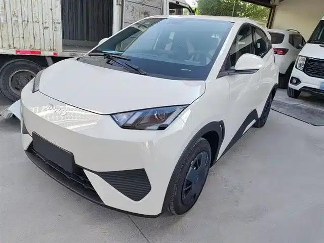 Seagull 2025 Smart Driving Edition 305km Vitality Edition