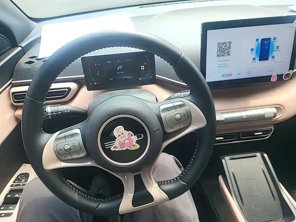 Seagull 2023 Freedom Edition — миниатюра 11