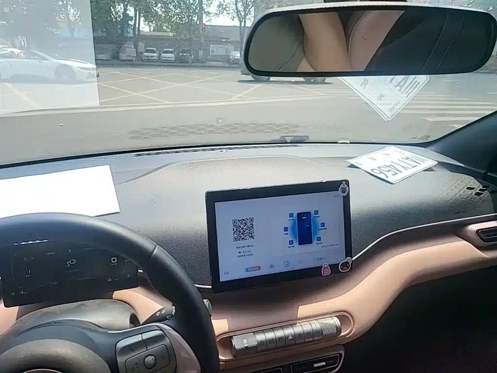Seagull 2023 Freedom Edition — миниатюра 18