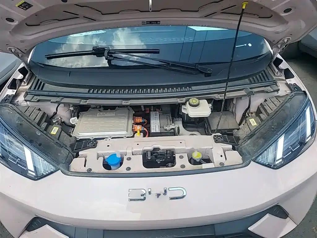 Seagull 2023 Freedom Edition — миниатюра 20
