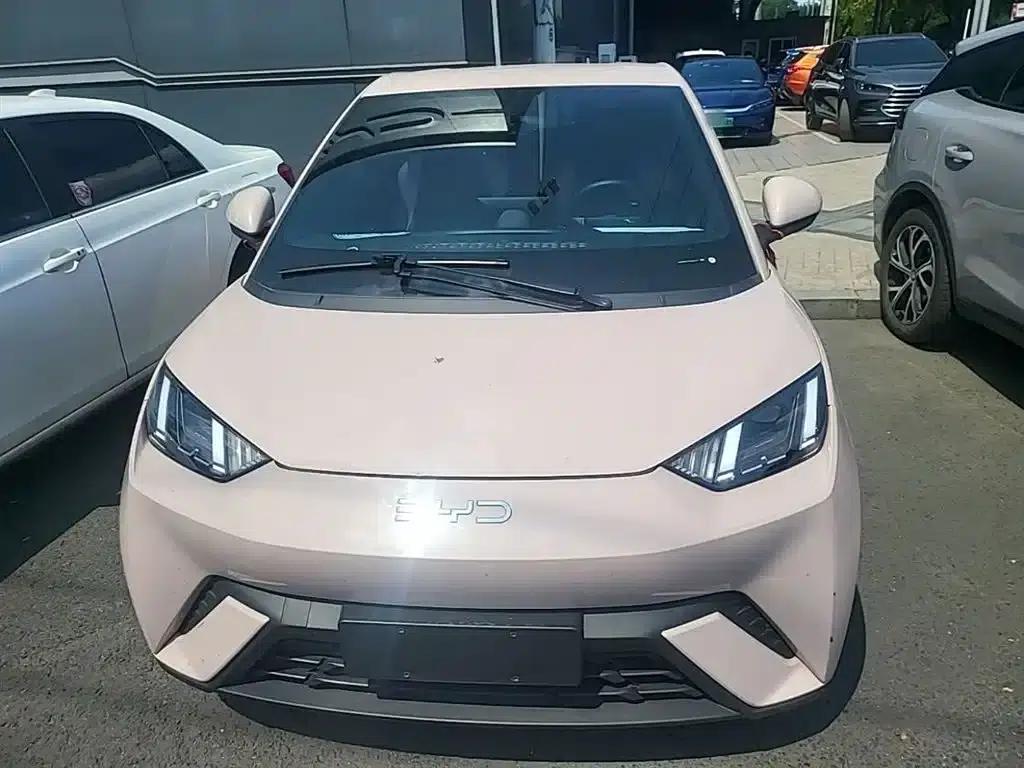 Seagull 2023 Freedom Edition — миниатюра 3