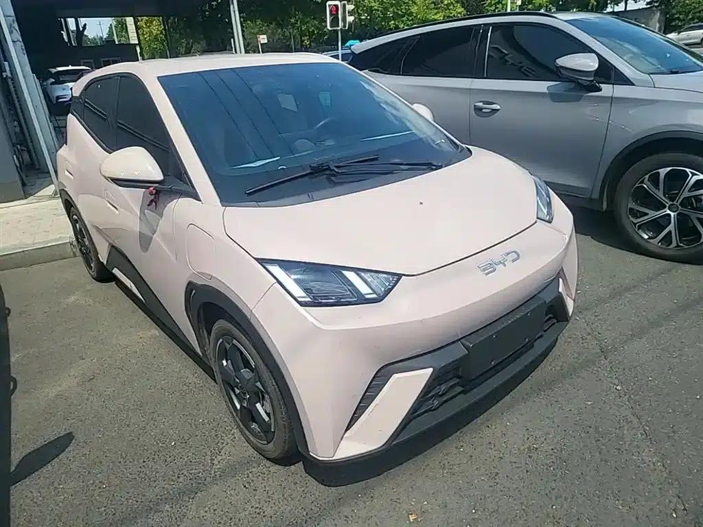 Seagull 2023 Freedom Edition — миниатюра 4