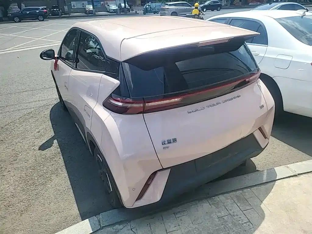 Seagull 2023 Freedom Edition — миниатюра 5