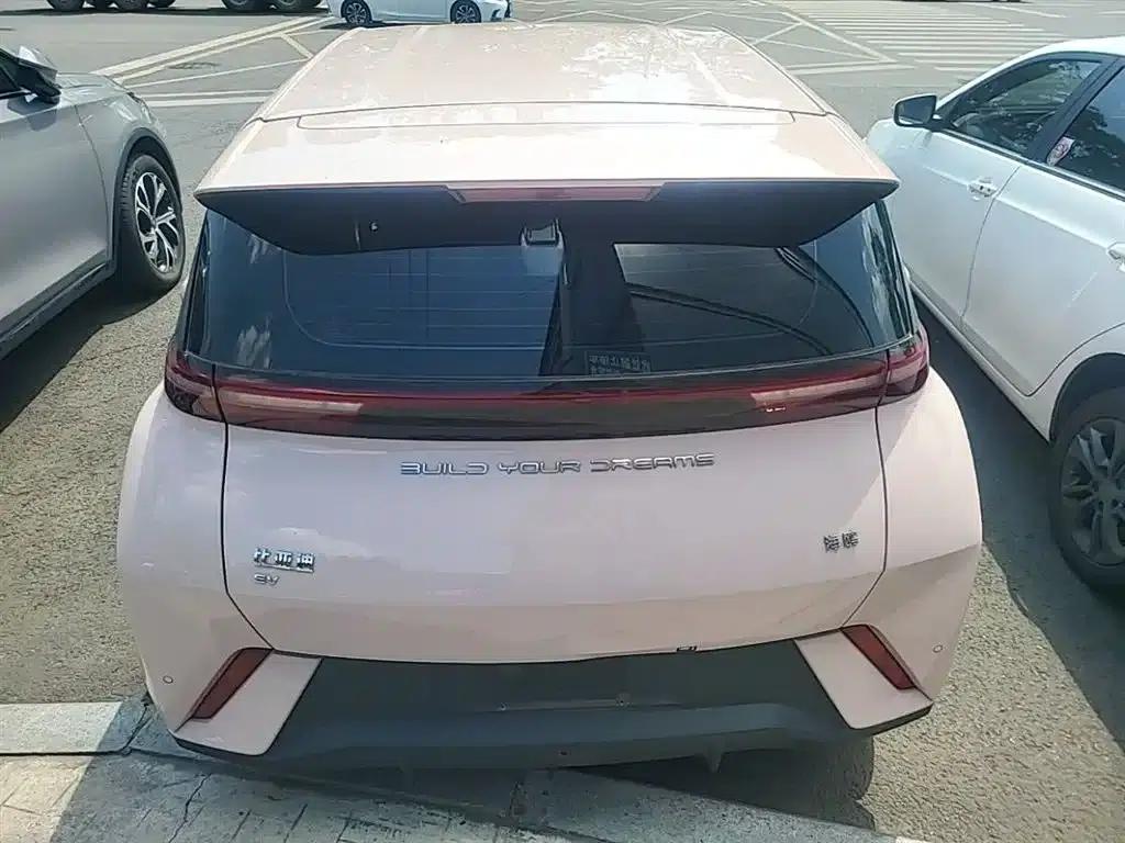 Seagull 2023 Freedom Edition — миниатюра 6