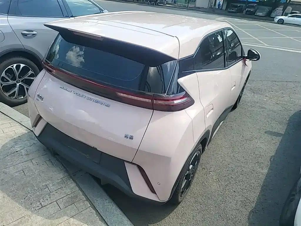 Seagull 2023 Freedom Edition — миниатюра 7