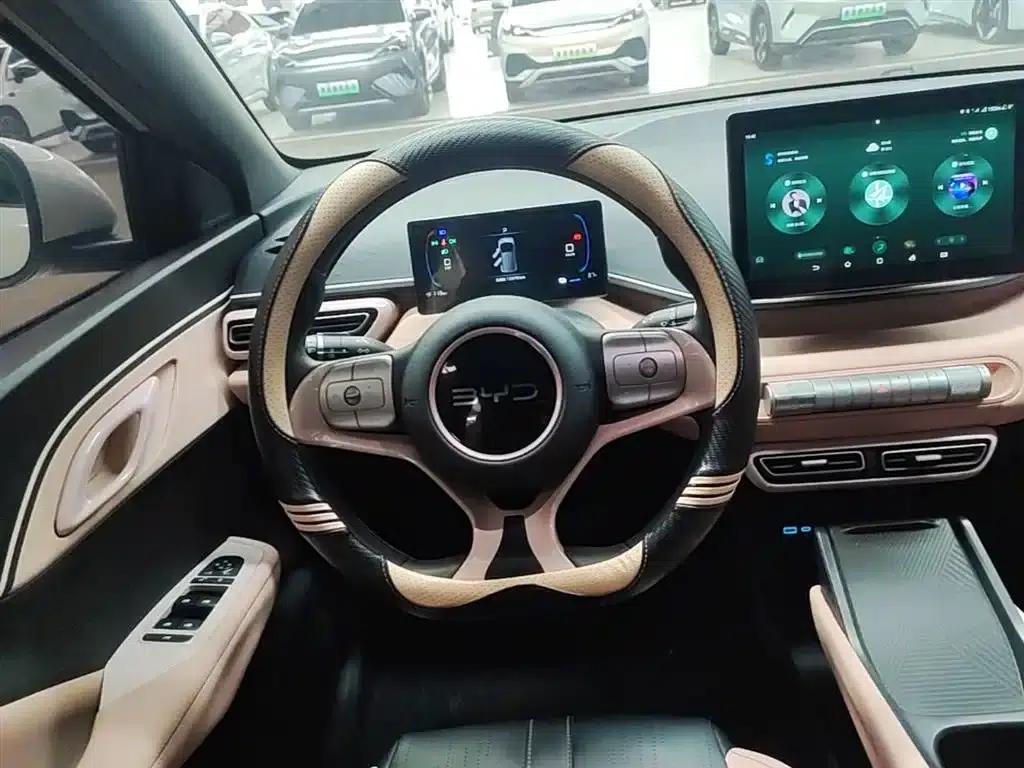 Seagull 2025 305km/h Dynamic Edition — миниатюра 11