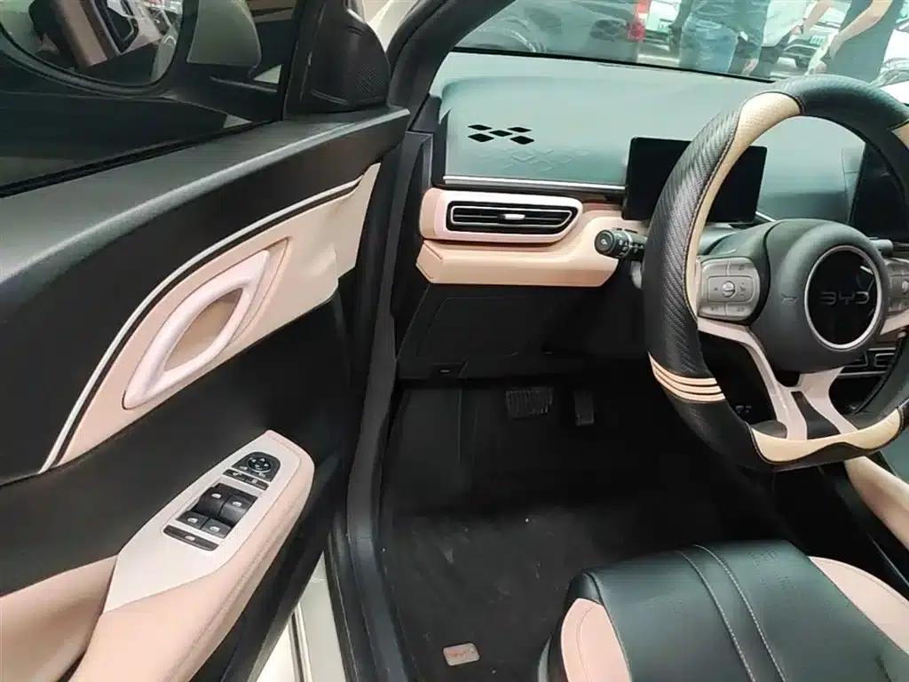 Seagull 2025 305km/h Dynamic Edition — миниатюра 16