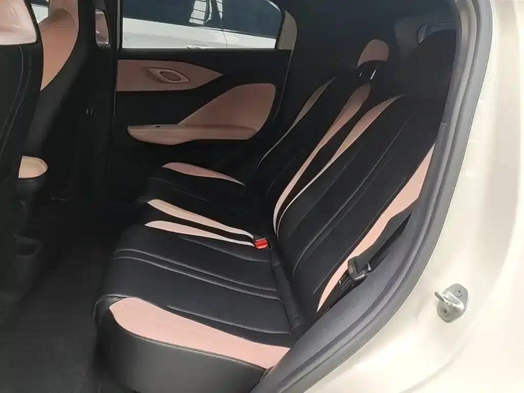 Seagull 2025 305km/h Dynamic Edition — миниатюра 17