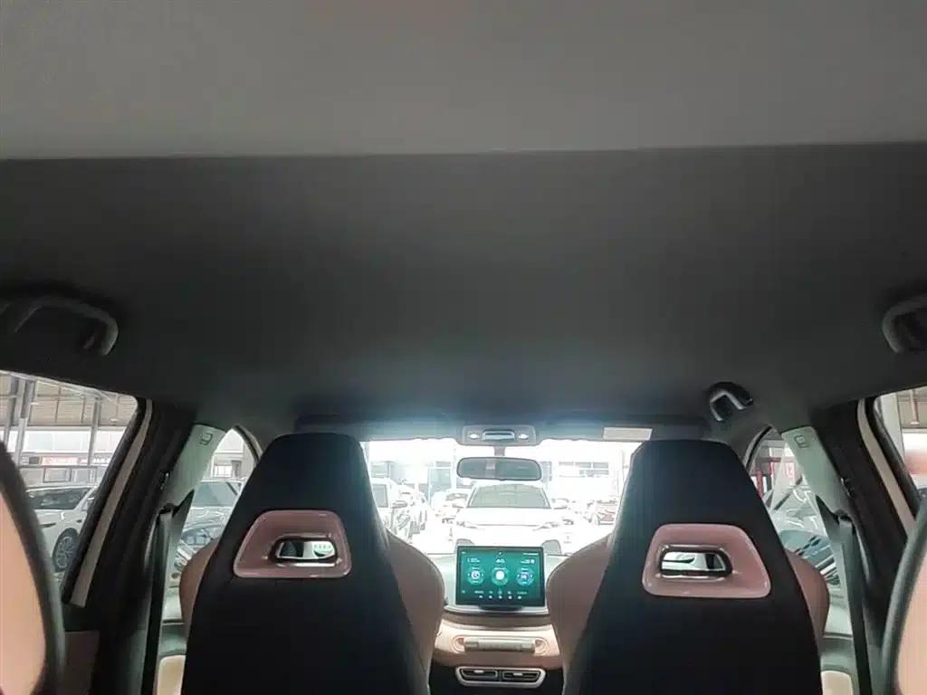 Seagull 2025 305km/h Dynamic Edition — миниатюра 18