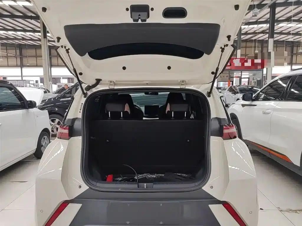 Seagull 2025 305km/h Dynamic Edition — миниатюра 19