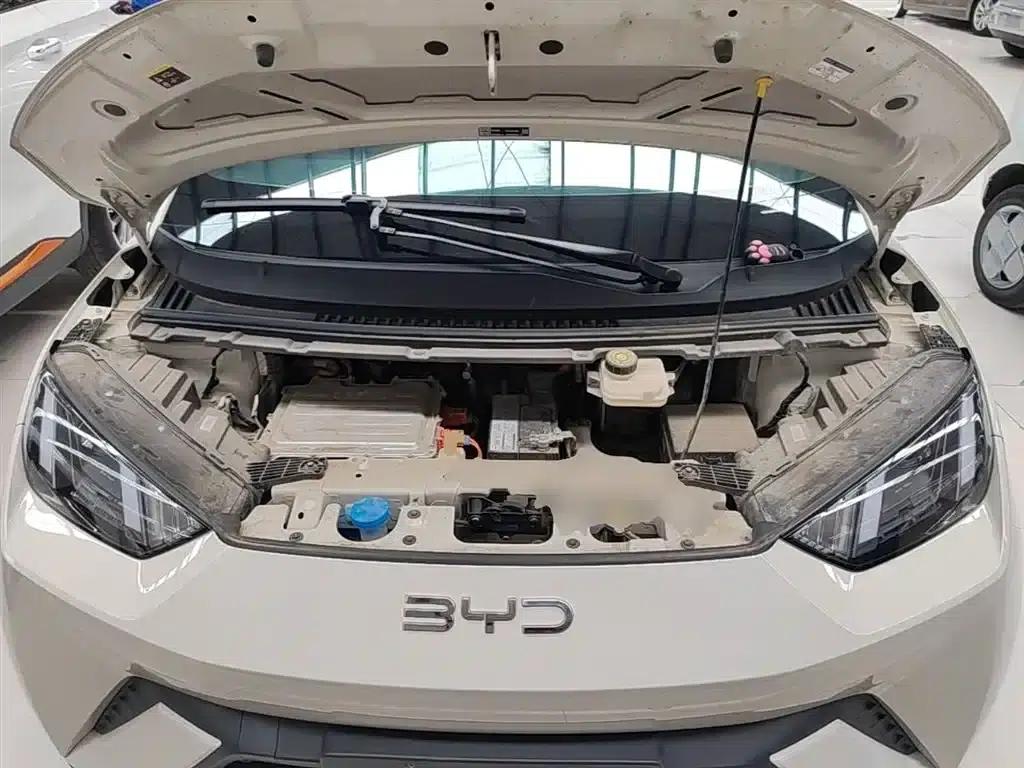 Seagull 2025 305km/h Dynamic Edition — миниатюра 20