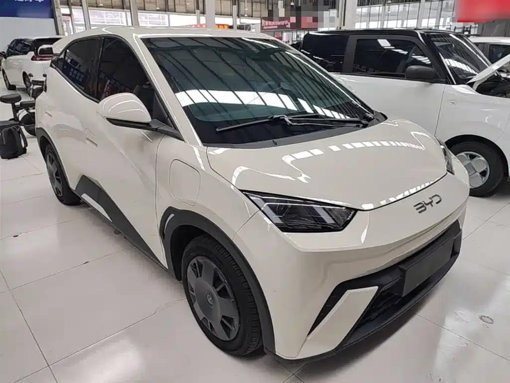 Seagull 2025 305km/h Dynamic Edition — миниатюра 4