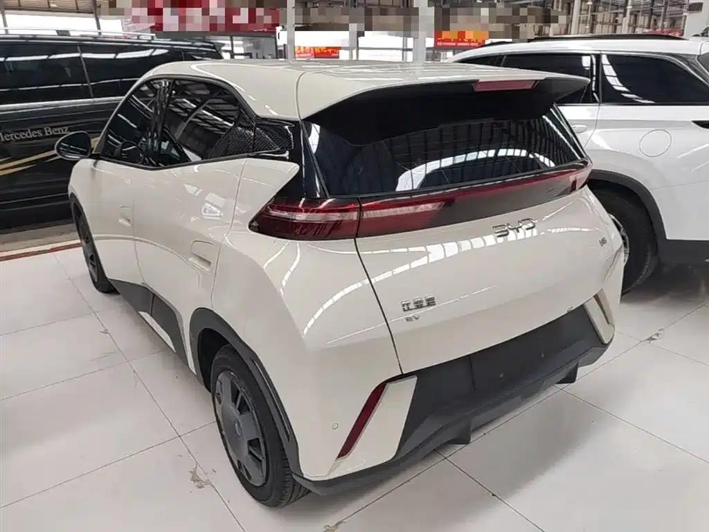 Seagull 2025 305km/h Dynamic Edition — миниатюра 5
