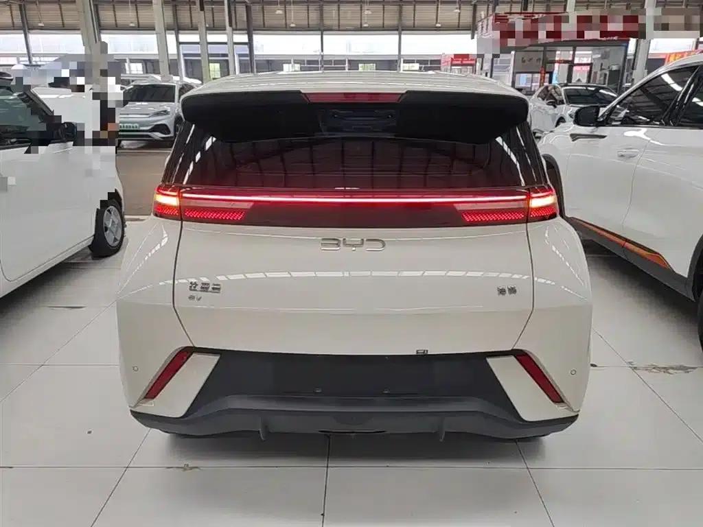 Seagull 2025 305km/h Dynamic Edition — миниатюра 6
