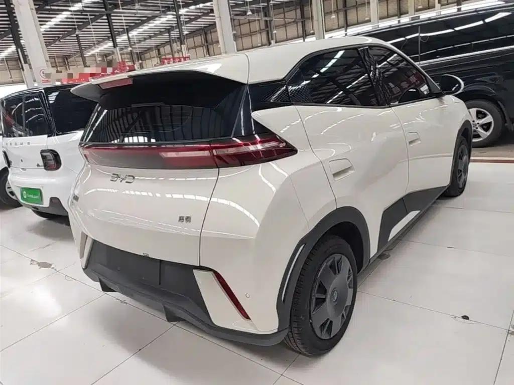 Seagull 2025 305km/h Dynamic Edition — миниатюра 7