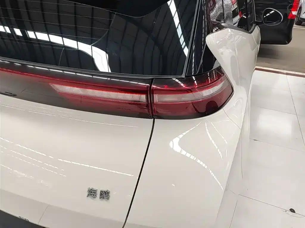 Seagull 2025 305km/h Dynamic Edition — миниатюра 8