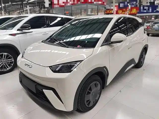 Seagull 2025 305km/h Dynamic Edition