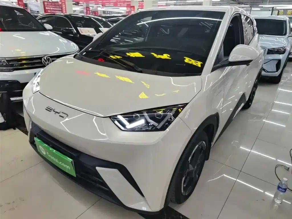 Seagull 2024 Glory Edition 405km/h Flying Edition — миниатюра 1