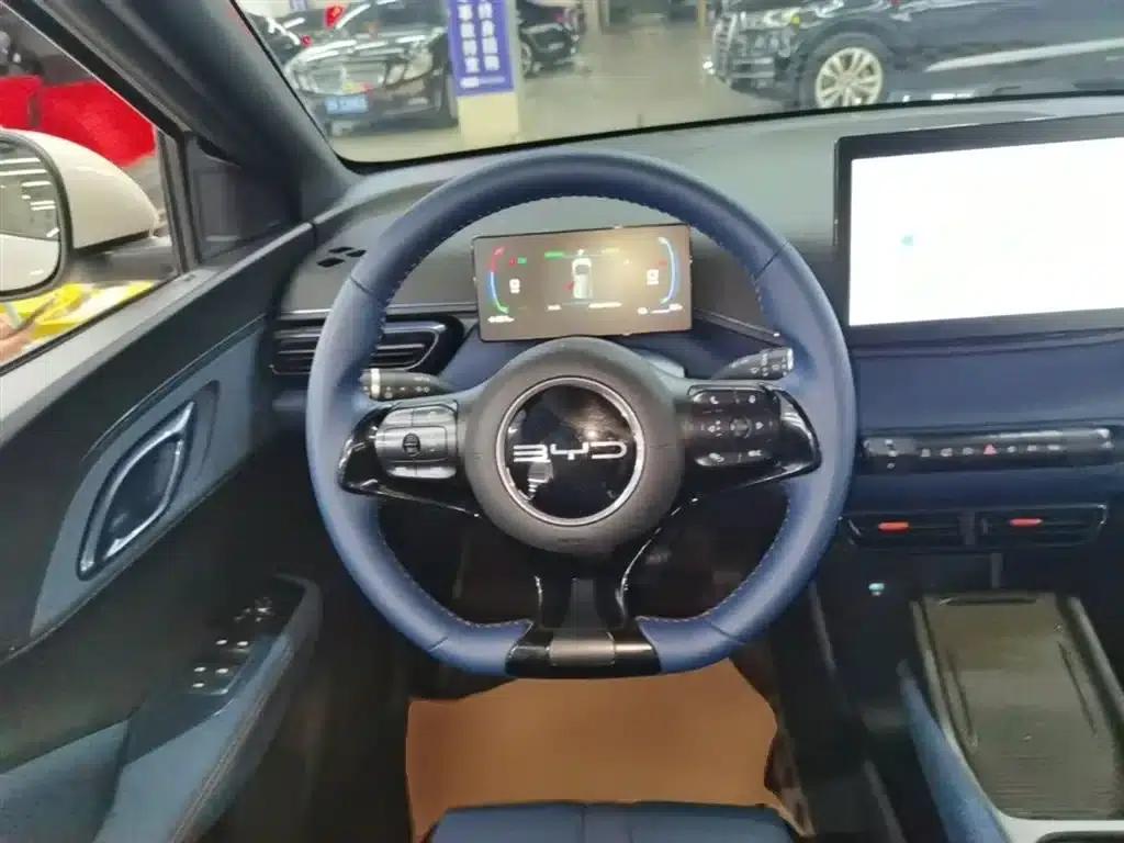 Seagull 2024 Glory Edition 405km/h Flying Edition — миниатюра 11