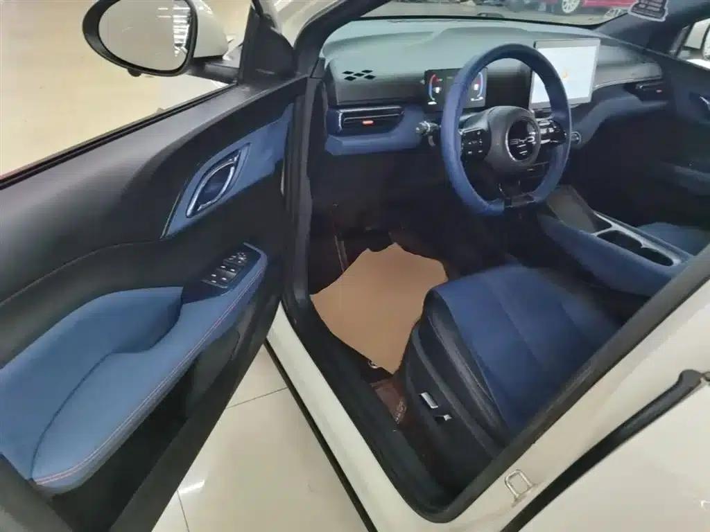 Seagull 2024 Glory Edition 405km/h Flying Edition — миниатюра 16