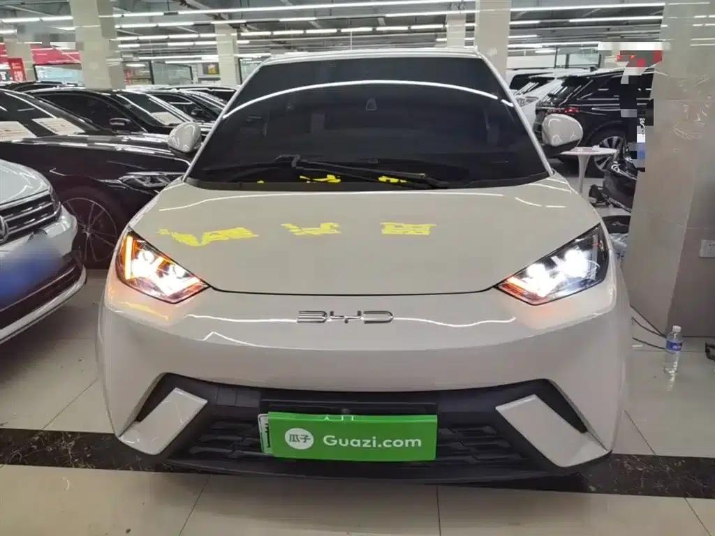 Seagull 2024 Glory Edition 405km/h Flying Edition — миниатюра 3