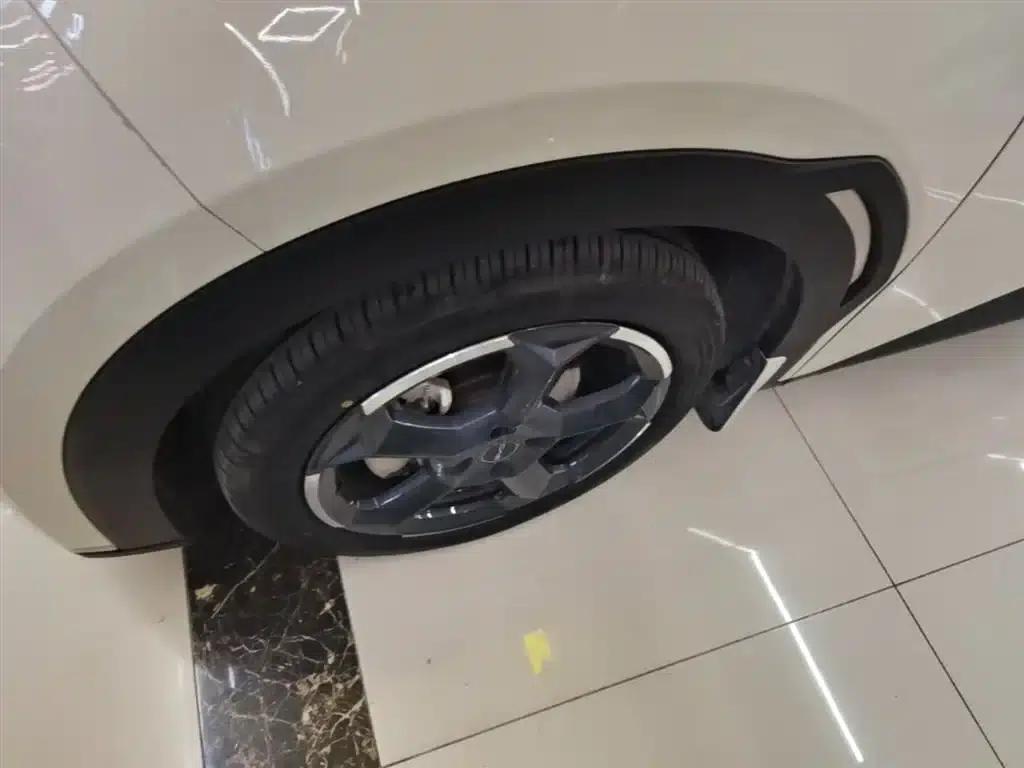 Seagull 2024 Glory Edition 405km/h Flying Edition — миниатюра 23