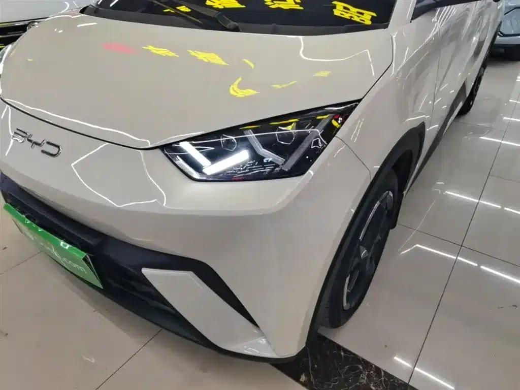 Seagull 2024 Glory Edition 405km/h Flying Edition — миниатюра 24