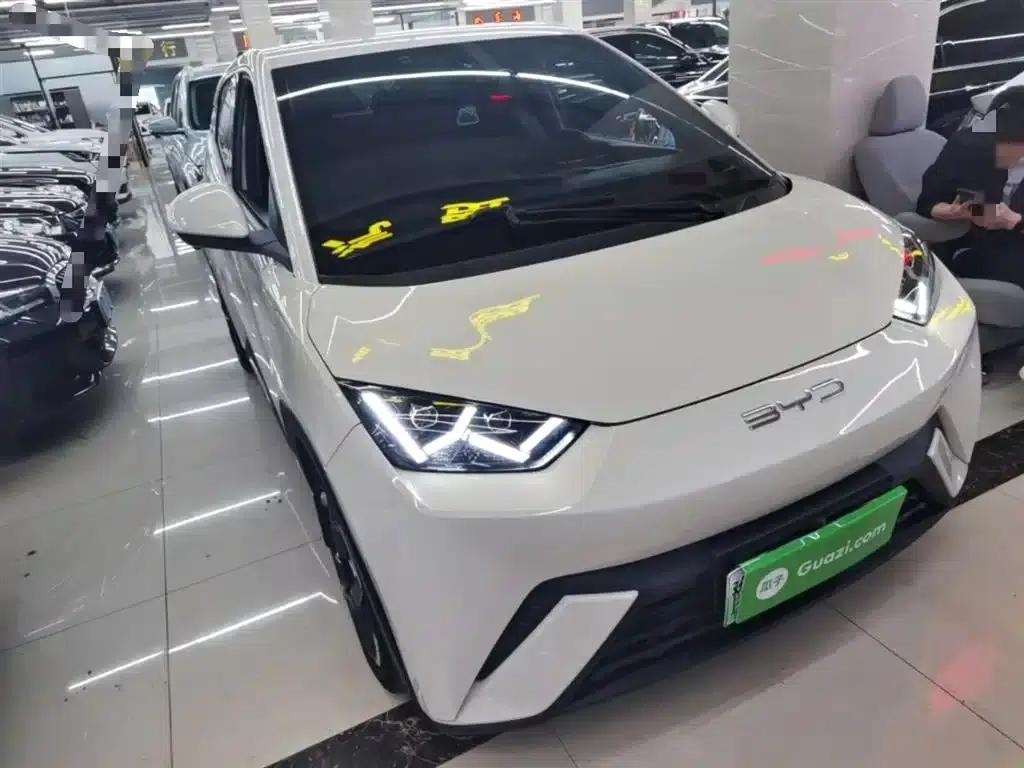 Seagull 2024 Glory Edition 405km/h Flying Edition — миниатюра 4