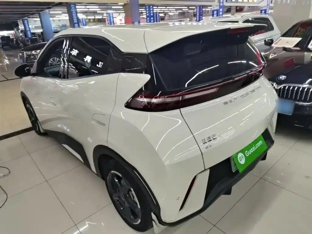 Seagull 2024 Glory Edition 405km/h Flying Edition — миниатюра 5