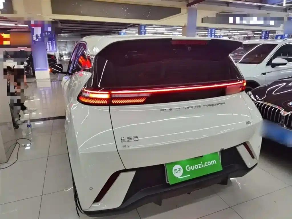 Seagull 2024 Glory Edition 405km/h Flying Edition — миниатюра 6