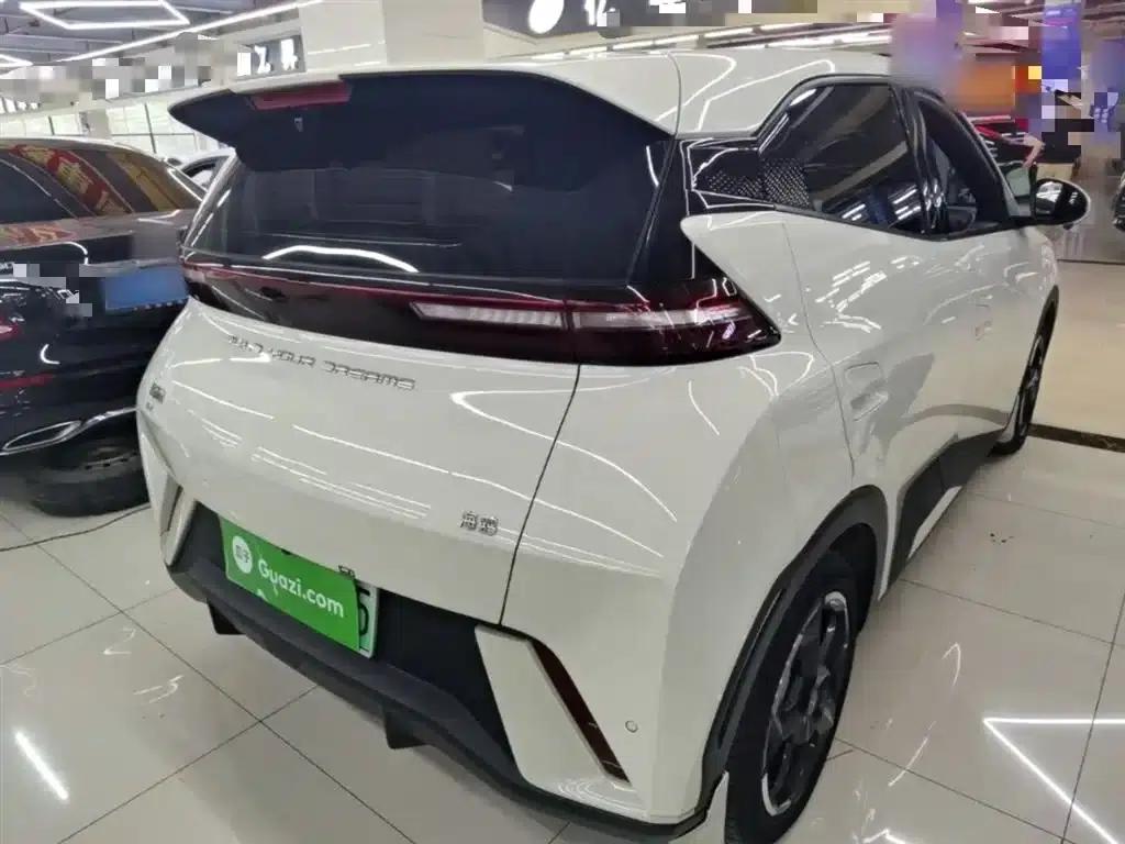 Seagull 2024 Glory Edition 405km/h Flying Edition — миниатюра 7