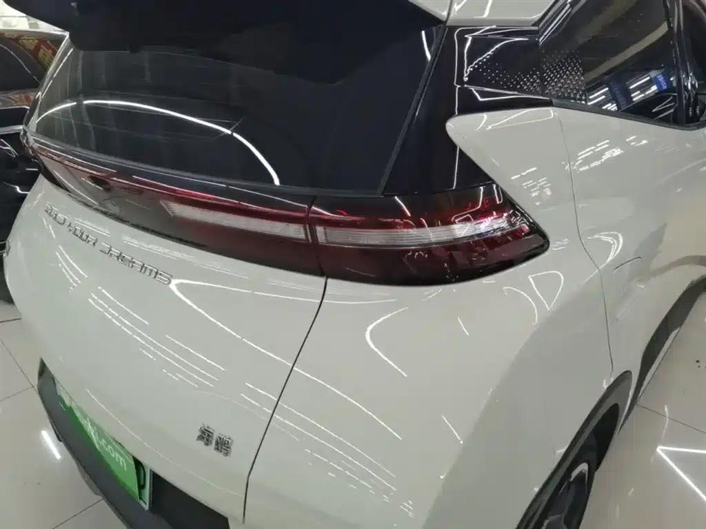 Seagull 2024 Glory Edition 405km/h Flying Edition — миниатюра 8