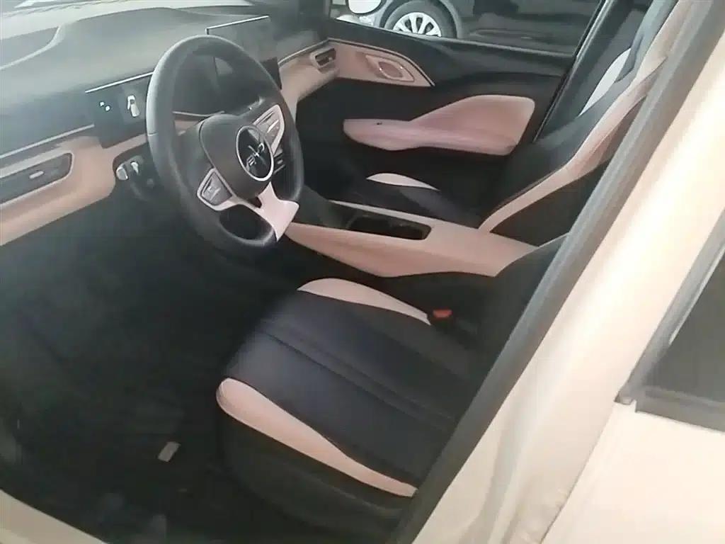 Seagull 2025 Smart Driving Edition 305km Vitality Edition — миниатюра 15