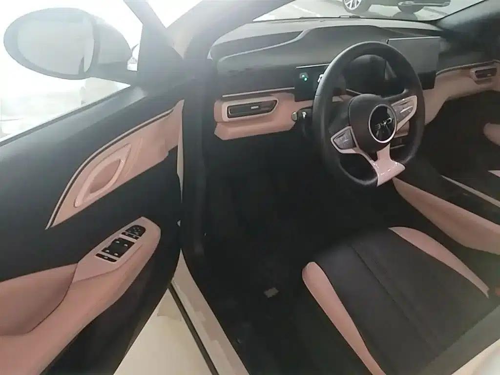 Seagull 2025 Smart Driving Edition 305km Vitality Edition — миниатюра 16