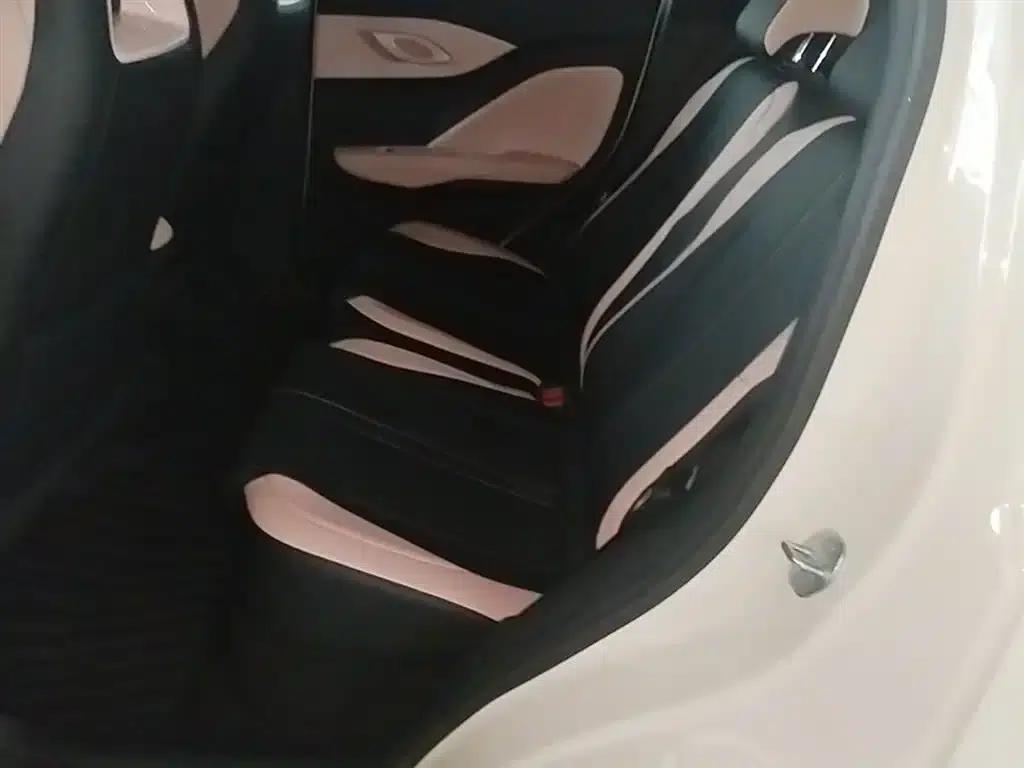 Seagull 2025 Smart Driving Edition 305km Vitality Edition — миниатюра 17