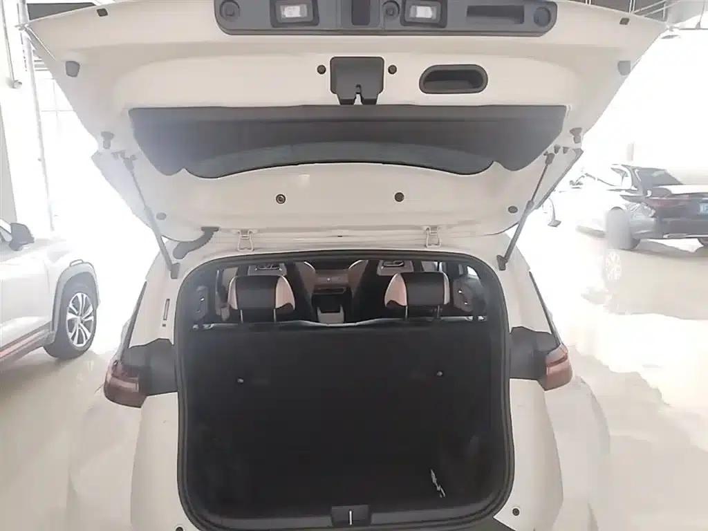 Seagull 2025 Smart Driving Edition 305km Vitality Edition — миниатюра 19
