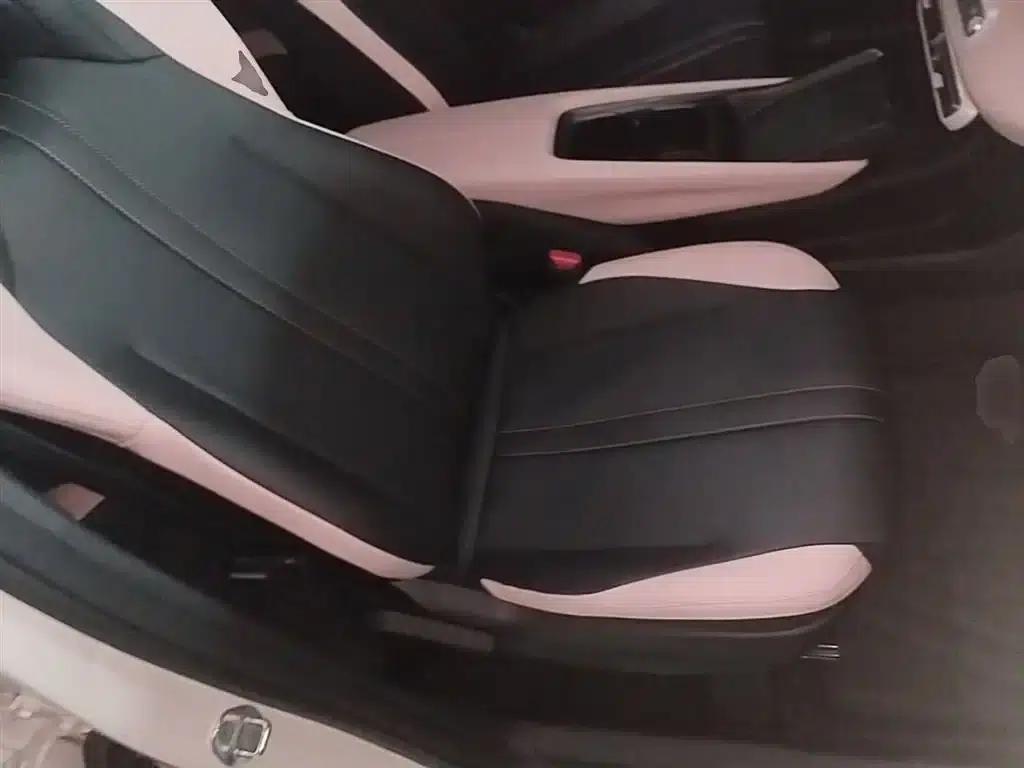 Seagull 2025 Smart Driving Edition 305km Vitality Edition — миниатюра 25