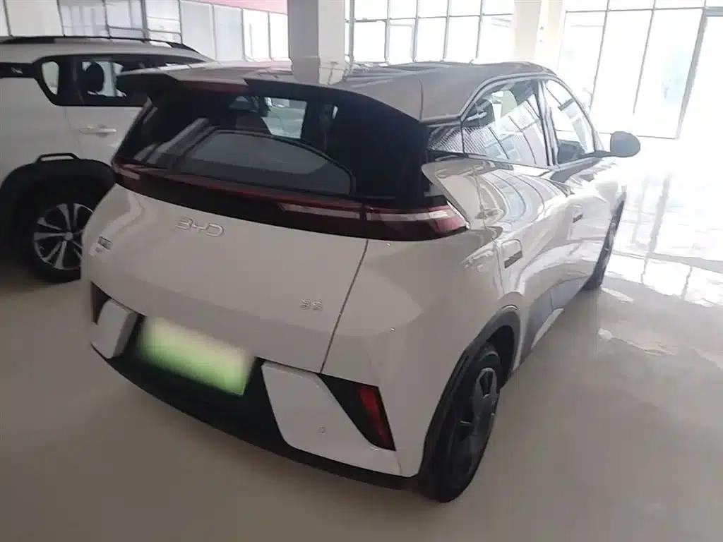 Seagull 2025 Smart Driving Edition 305km Vitality Edition — миниатюра 7