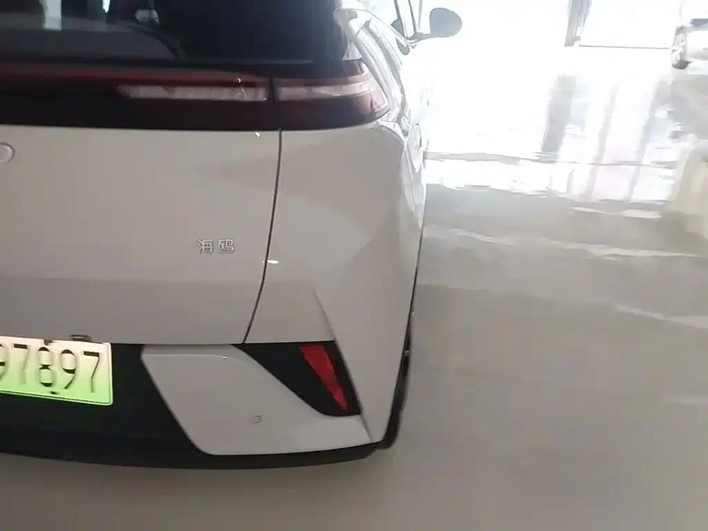 Seagull 2025 Smart Driving Edition 305km Vitality Edition — миниатюра 8