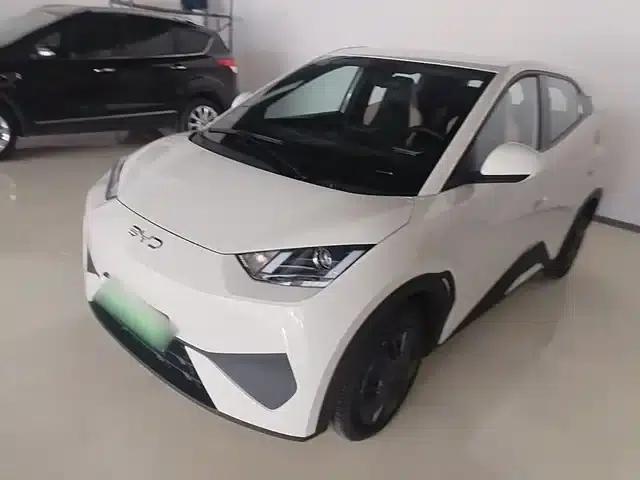 Seagull 2025 Smart Driving Edition 305km Vitality Edition