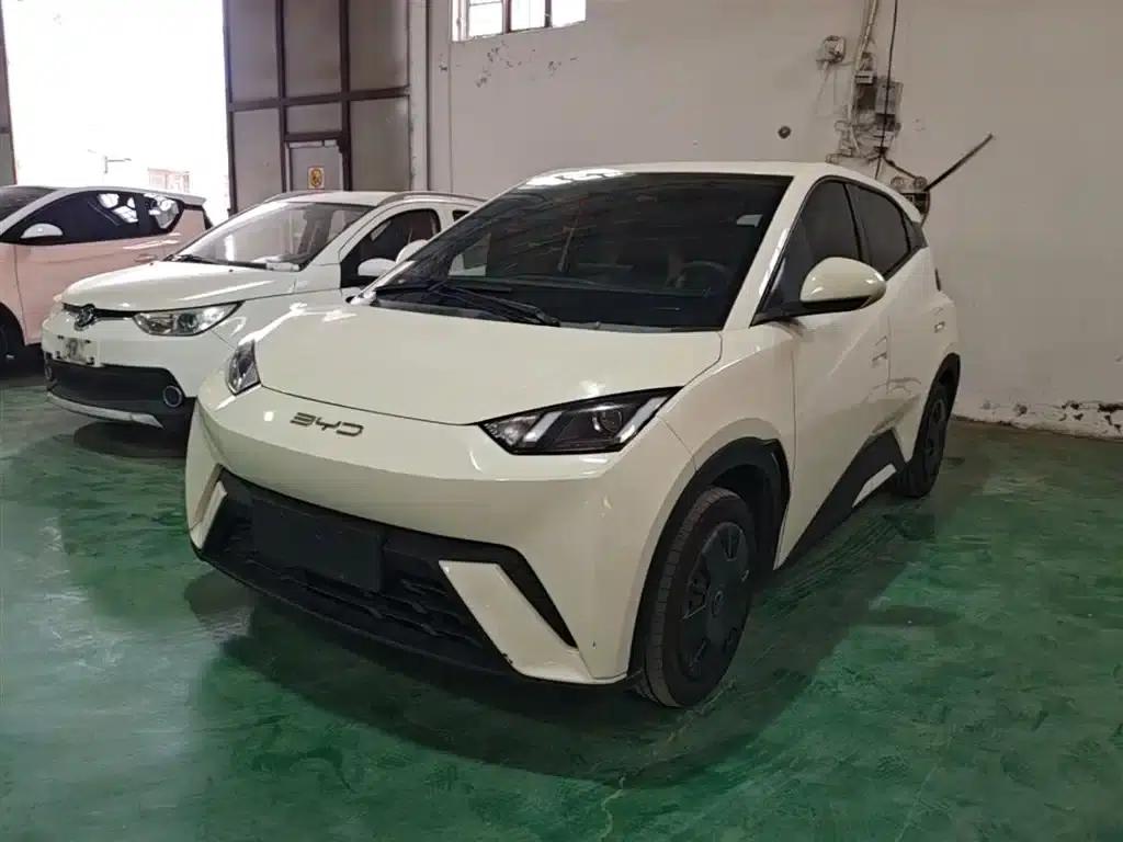 Seagull 2023 Vitality Edition — миниатюра 2