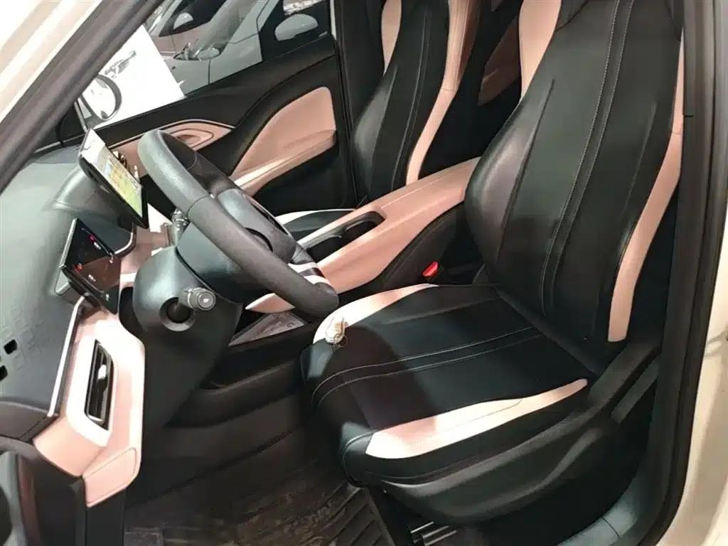 Seagull 2023 Vitality Edition — миниатюра 15
