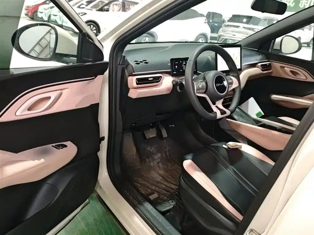 Seagull 2023 Vitality Edition — миниатюра 16