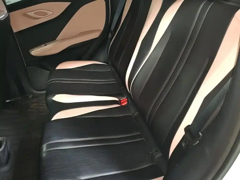 Seagull 2023 Vitality Edition — миниатюра 17