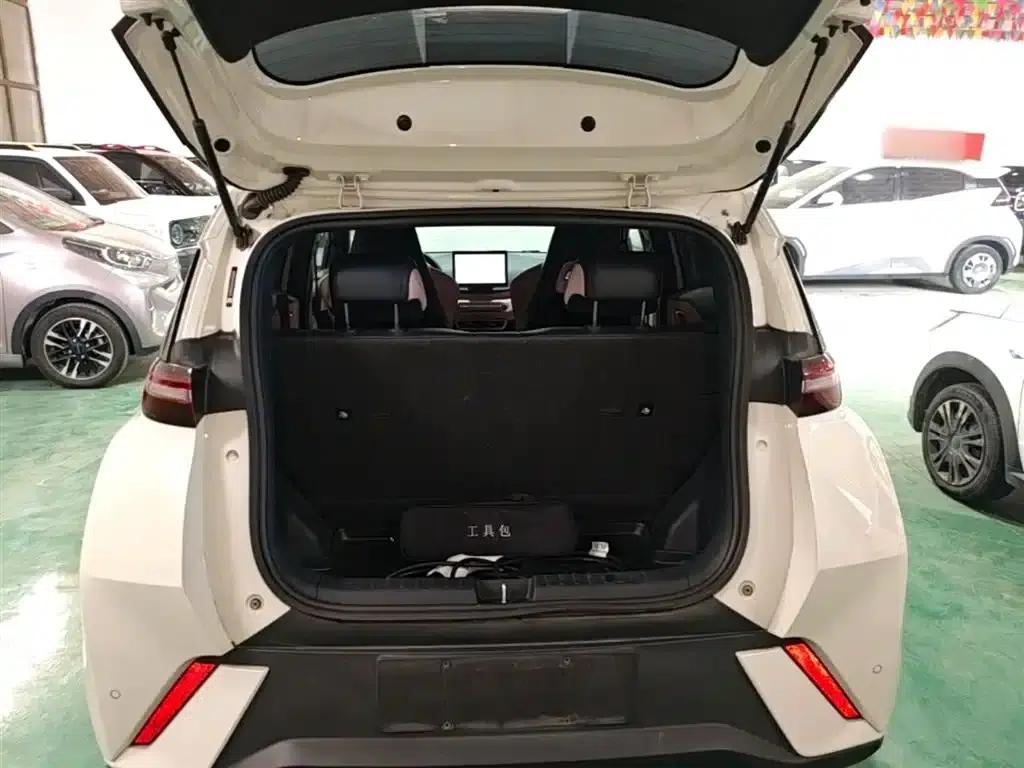 Seagull 2023 Vitality Edition — миниатюра 19